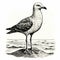 Antique Woodcut Engraving Of Seagull: Dark Academia Vintage Halloween Clipart