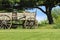 Antique Wooden Wagon Illinois