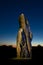 Antiquities menhir and dimming