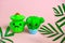 antistress cactuses toys and green tropical palm leaves on a pastel pink background