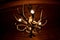 Antler Chandelier