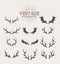 Antlers. Design elements of deer. Set of hand drawn deer horns on the white background. Vintage isolated icons