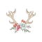 Antlers with flowers, hand drawn floral composition with deer horns vector Illustration on a white background