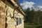 Antlers on the wall of the house from logs