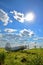 Antonov AN-2 airplane on the field  - aircraft landscape