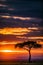 Antony Trivet Magical Lone Trees Sunset Gazelle Antelope grazing grassland savannah in the Maasai Mara NationMara National Reserve