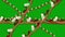 Ants Carrying Larvas on a Branch in Seamless Loop Alpha Channel