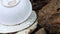 A ants crawl on a pile of plates lying on the stones