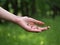 Ants on a female hand.