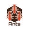 Ants logo for business or animal object, vector illustration