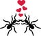 Ants Love