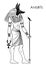 Anubis. in Ancient Egyptian, god of death, mummification, embalming, the afterlife, cemeteries, tombs, and the