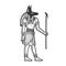 Anubis Ancient Egyptian god of death sketch vector