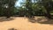 Anuradhapura, Sri Lanka, sunny day in King`s Park