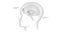 Anxiety is a neurological condition characterized by persistent, uncontrollable worry accompanied by emotional distress