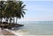 Anyer Beach, Banten, Indonesia - 28 December 2013 - Coconut tree, Ocean weave