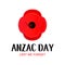 Anzac Day card. Paper cut Red Poppy flower