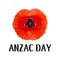 Anzac Day vector card. Bright Poppy Flower