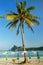 Ao Loh Dalum beach with sun umbrellas on Phi Phi Don Island, Krabi Province, Thailand