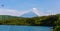Aokigahara forest with Mount Fuji