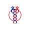 Aorta DNA Biology Medical Business Logo