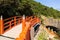 Aoshima Shrine in Japan