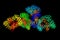 AP-1 complex subunit mu-1, the medium chain of the trans-Golgi n