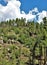 Apache Sitgreaves National Forest 2002 Rodeo-Chediski Fire Regrowth as of 2018, Arizona, United States