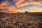 Apache trail- at sunset lights, Arizona