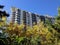 Apartments over gardens skyline trees