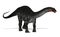 Apatosaurus