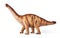 Apatosaurus dinosaurs toy isolated with clipping path.