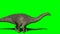 Apatosaurus Walking on Green Screen