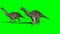 Apatosauruses Walking on Green Screen