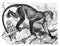 Ape or monkey cercopithecus mona / Antique engraved illustration from Brockhaus Konversations-Lexikon 1908