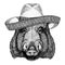 Aper, boar, hog, hog, wild boar Wild animal wearing sombrero Mexico Fiesta Mexican party illustration Wild west