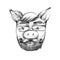 Aper, boar, hog, wild boar. Animal pig in glasses. Scientist family man. Elegant vintage animal. Image for tattoo, t