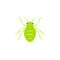 Aphid insect icon