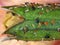 Aphids plant lice, greenflies, blackflies or whiteflies
