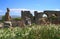 Aphrodisias ancient city