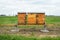 Apiaries, beehives, Beehive with bees colony on the rapeseed field