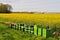 Apiaries next to a Field of Rapeseed