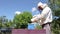 Apiarist, beekeeper is checking bees on honeycomb wooden frame