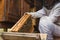 Apiarist taking the hive frames from a beehive box, close up shot