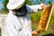 Apiarist wearing protective workwear and gloves holding honeycomb full of bees in summer sunny day