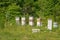 Apiary beehive boxes in a flower field