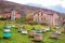 Apiary with beehives of the St. Seraphim Monastery