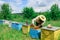 Apiary. The beekeeper works with bees near the hives. Apiculture.