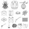 Apiary and beekeeping outline icons in set collection for design.Equipment and production of honey vector symbol stock