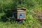 Apiary, bees in the same cabin in the woods